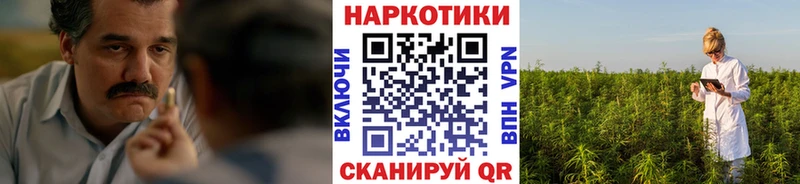Где можно купить наркотики Баксан Кокаин  Меф  Альфа ПВП  МАРИХУАНА  ГАШ 
