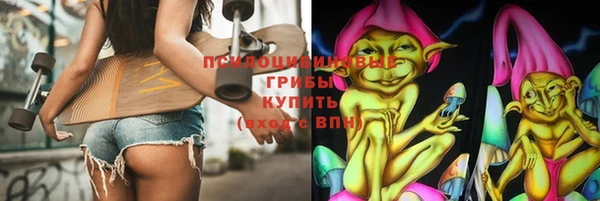 дживик Аркадак
