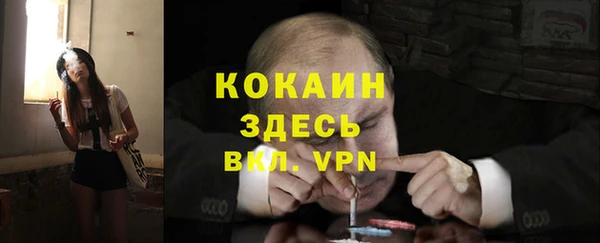 дмт Арсеньев