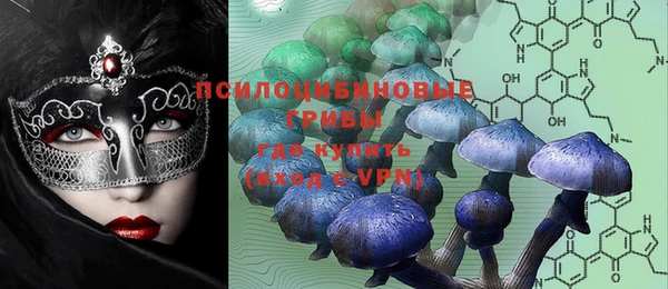 молекула духа Семёнов