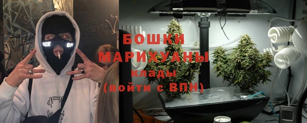 дмт Арсеньев