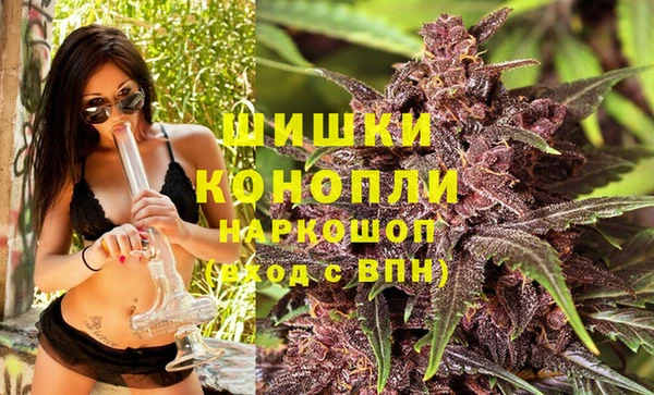 дживик Аркадак