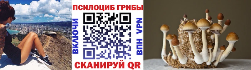 Галлюциногенные грибы Cubensis Баксан