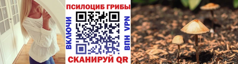 ОМГ ОМГ вход  Баксан  Галлюциногенные грибы MAGIC MUSHROOMS  как найти закладки 